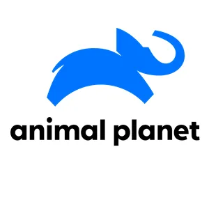animal planet